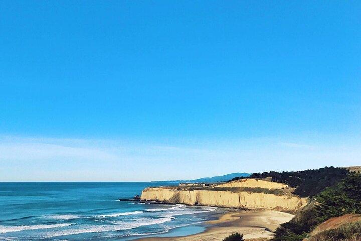 Au départ de San Francisco à travers la péninsule de Monterey + Carmel 1 journée