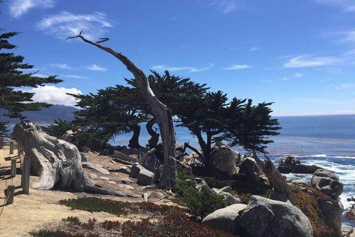 Au départ de San Francisco à travers la péninsule de Monterey + Carmel 1 journée