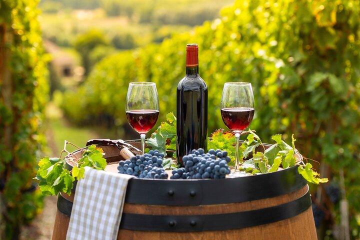 Tour della città e cantine di Constantia