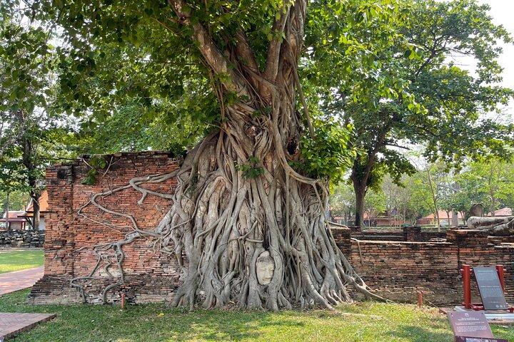 Tour storico di Ayutthaya da Bangkok