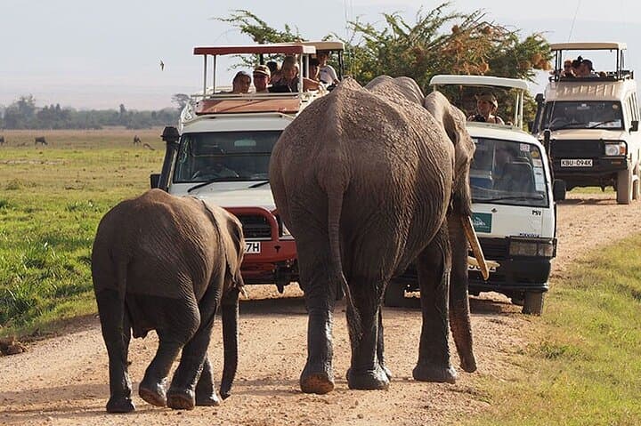 Full Day Tour to Amboseli National Park & Masai Village
