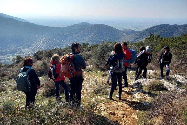 A walk on Monte Pisano