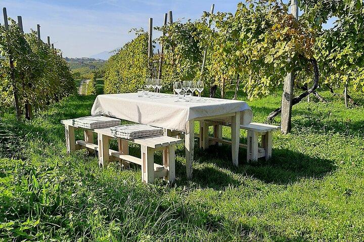 Excursão Privada Prosecco Road All Inclusive de Veneza