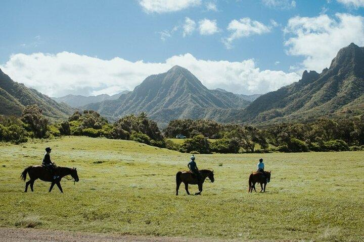 Kualoa Ranch - wandeltocht te paard
