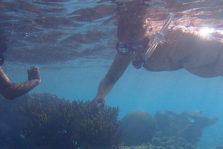 Maratona de mergulho com snorkel
