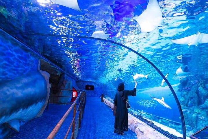 VIP Experience Dubai Aquarium & Underwater Zoo-As per Selection