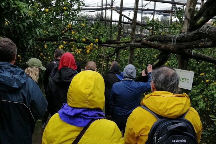 Private day tour: Sorrento, Positano, Amalfi and Ravello.