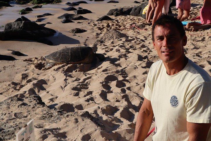 Circle Island Tour com snorkel e tartarugas