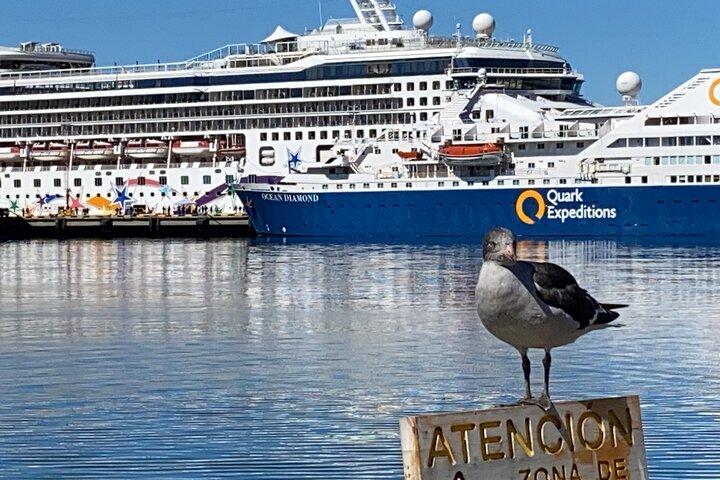 2 aktiviteter i Ushuaia + 2 aktiviteter i El Calafate (på 2 dage)