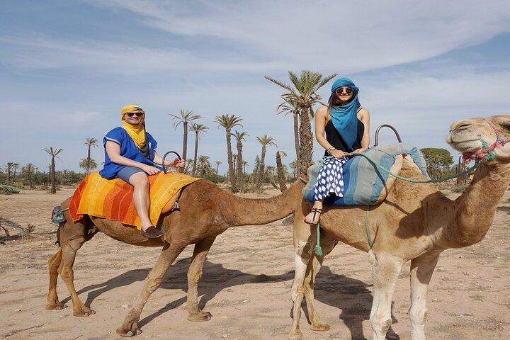 Sunset Camel Ride in de Palm Grove van Marrakech