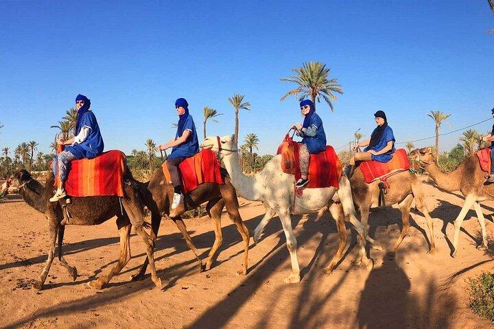 Sunset Camel Ride in de Palm Grove van Marrakech