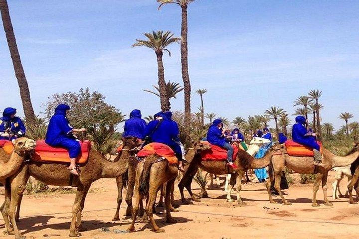 Sunset Camel Ride no Palm Grove de Marrakech