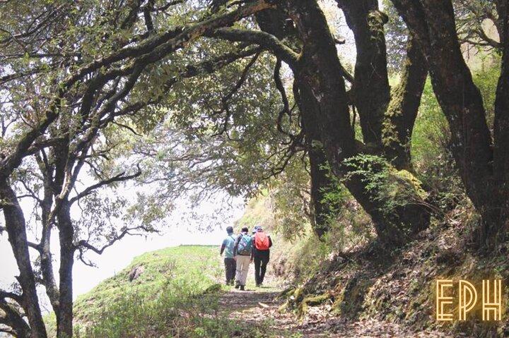 Benog Tibba Dagsvandring - Mussoorie