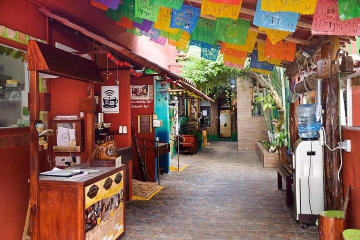 Excursion privée : 5 heures de visite à Cozumel avec chauffeur privé et dégustation de tequila