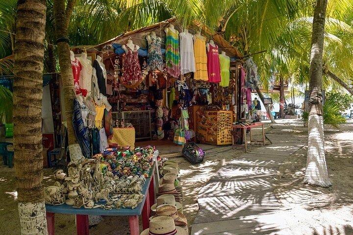 Excursion privée : 5 heures de visite à Cozumel avec chauffeur privé et dégustation de tequila