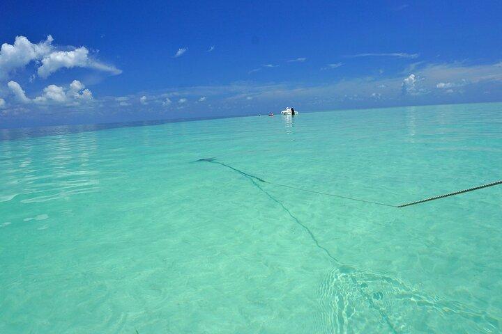 Private Luxury Sandbar Excursion