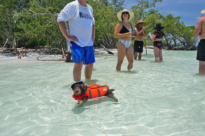 Private Luxury Sandbar Excursion