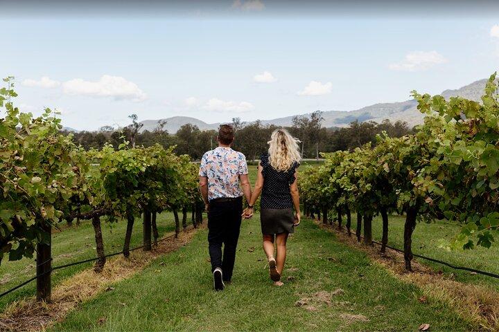Gold Coast : tour di degustazione di vini Hop on Hop off - Tamborine Mountain