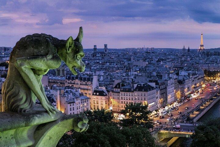 Visite privée de 3 heures à Paris avec croisière sur la Seine