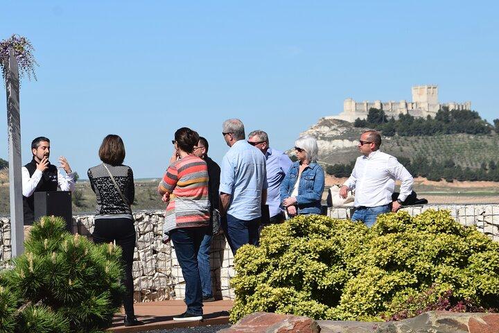 Tour Privado de Dia Completo a Ribera del Duero