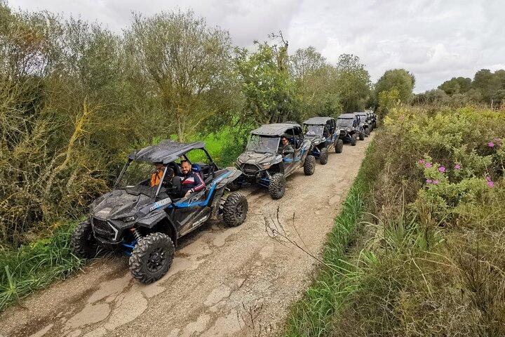 Tour fuoristrada in buggy a 2 e 4 posti a Maiorca