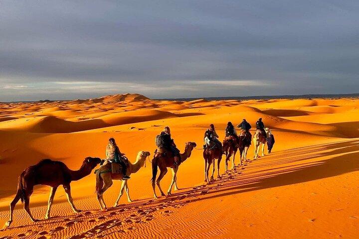 Alojamiento en campamento de lujo Sahara Tours