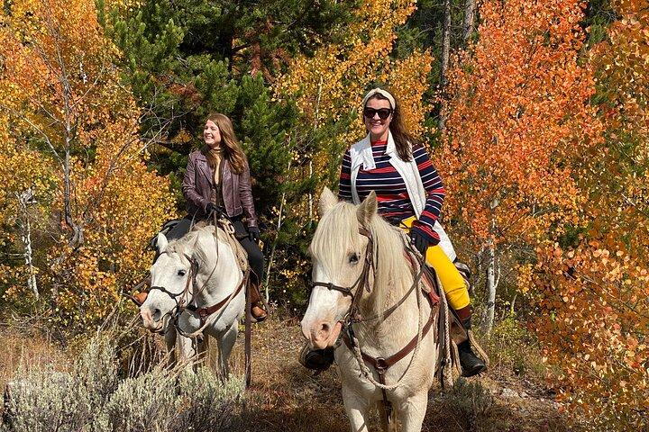 Jackson Hole Equitazione e pranzo a Bridger Teton NF