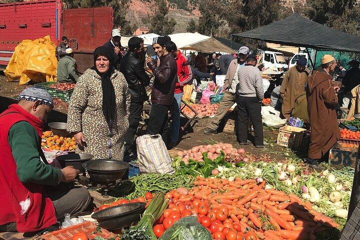 Day-trip to Agafay desert, Berber villages and Atlas Mountains from Marrakech