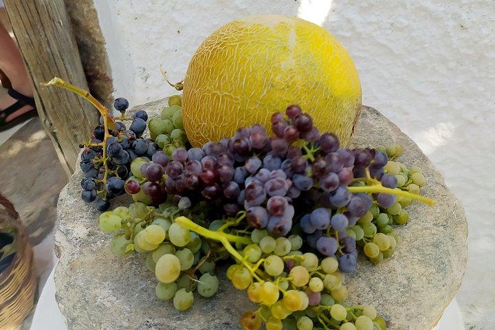 Naxos Farm Experience and cheese making