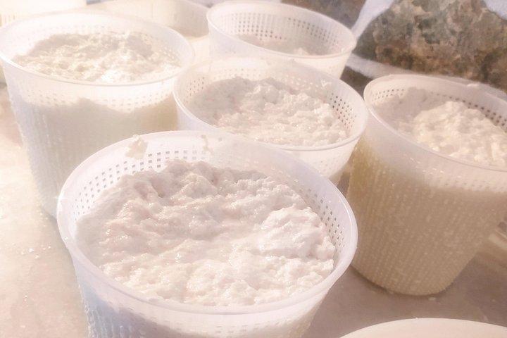 Naxos Farm Experience and cheese making