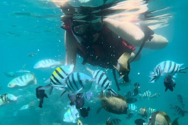 All Inclusive : Bali Blue Lagoon Snorkeling with Lunch &Transfers