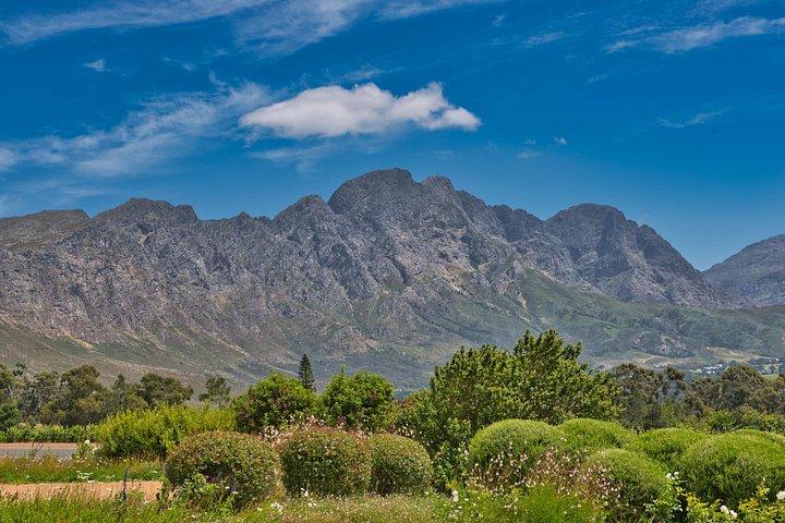 Full Day Cape Winelands Private Tour