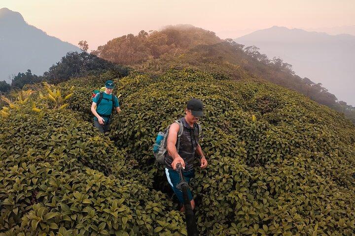 Excursion d'une journée de randonnée et de trekking dans la chaîne de montagnes Knuckles depuis les hôtels de Kandy