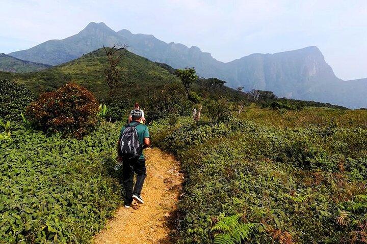 キャンディのホテルからのナックルズ山脈のハイキングとトレッキングの日帰りツアー