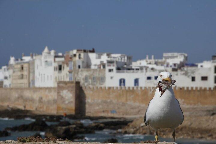 12-dages Morocco Discovery Private Tour