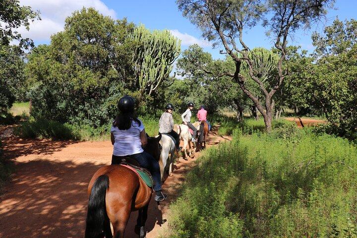 Avventura Safari a cavallo ad Hartbeespoort da Johannesburg