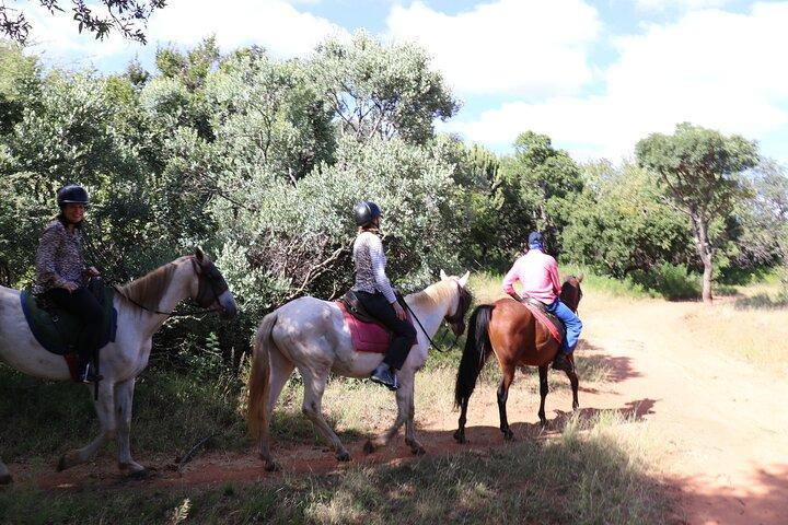 Avventura Safari a cavallo ad Hartbeespoort da Johannesburg