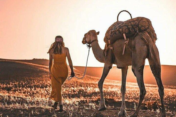 Shared Day Trip To Atlas Mountains, Three Valleys, And Camel Ride