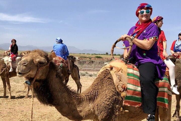Shared Day Trip To Atlas Mountains, Three Valleys, And Camel Ride