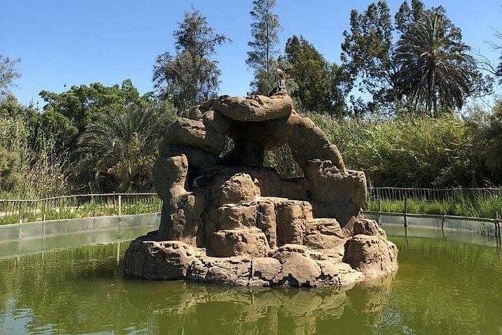 カイロ発アフリカーノパークアレクサンドリアサファリ