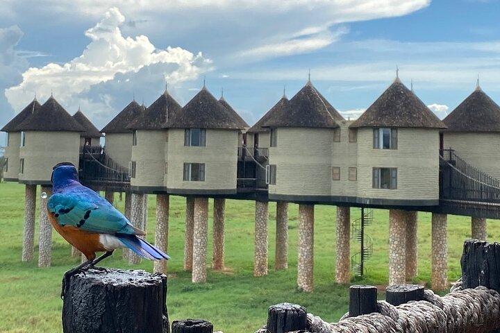 Tour privado de 2 días Tsavo este y oeste desde la playa de Diani
