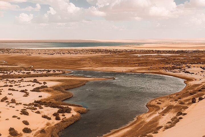 Fayoum Full Day Tour Bird Watching