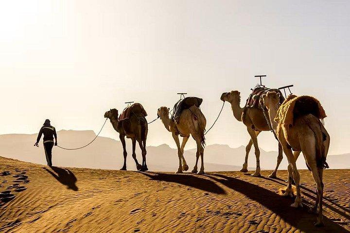 Giro in cammello al tramonto nel deserto di Agafay
