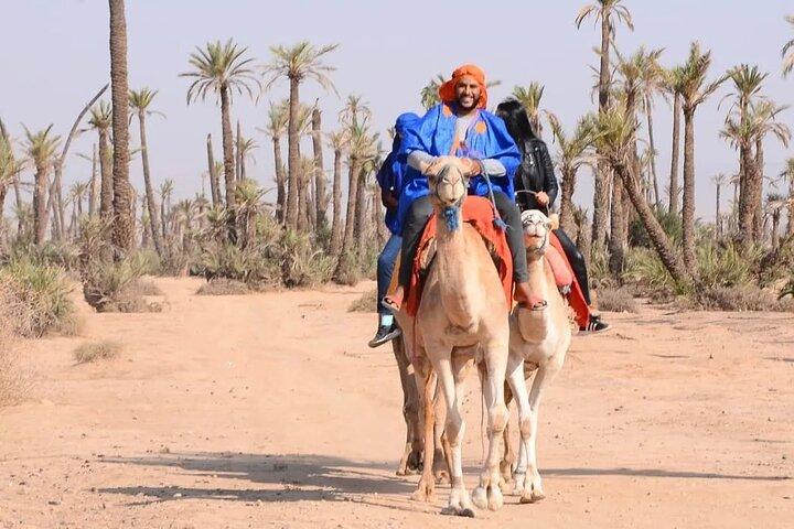 Kameltur i palmelunden i Marrakech