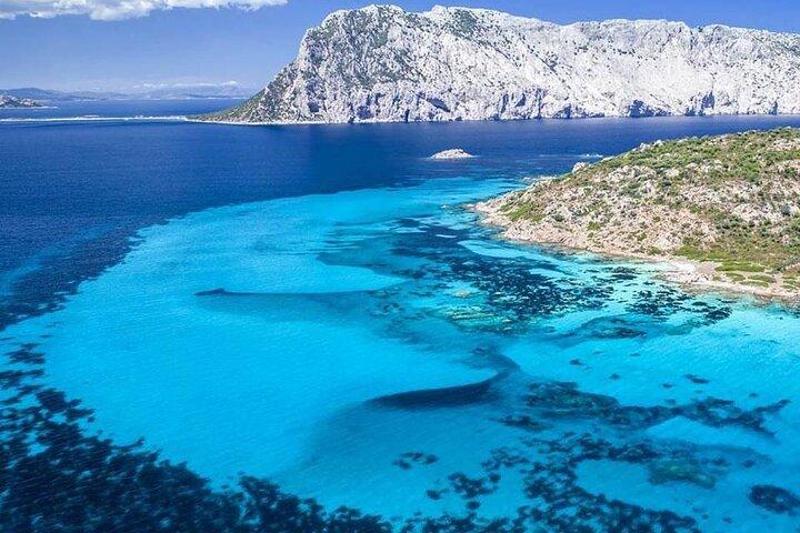 Tour Catamarano Olbia per ricerca Delfini e Parco Marino Tavolara
