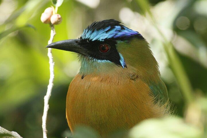 PRIVATE Guided Walk to the Curi Cancha Reserve