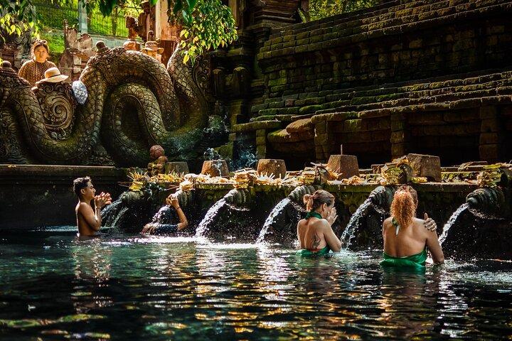 Private Ubud Highlights: Nature and Cultural Experience