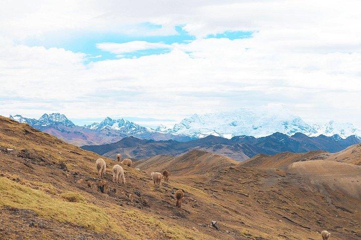 Palccoyo Rainbow Mountain Ganztagestour ab Cusco