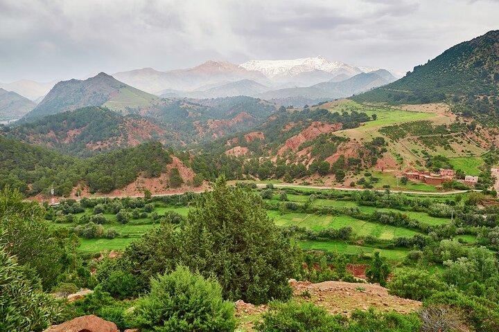 Zat-dalen og Atlasbjergene privat dagstur fra Marrakech