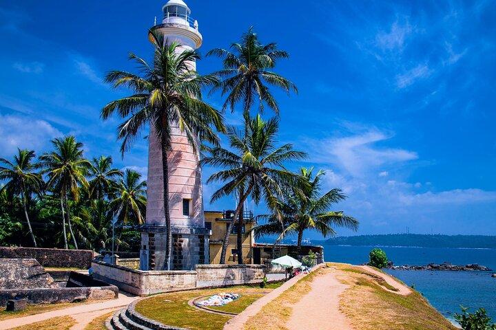 Excursion d'une journée à Galle avec River Safari, pêcheurs de tortues de mer et d'échasses